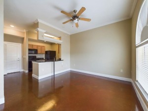 Apartments in Baton Rouge - Studio Apartment - Allen -Living Area and Kitchen